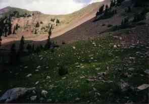 view of the cirque at base of rockslide